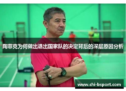 陶菲克为何做出退出国家队的决定背后的深层原因分析