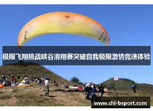 极限飞翔挑战峡谷滑翔赛突破自我极限激情竞速体验 极限飞翔挑战峡谷滑翔赛突破自我极限激情竞速体验