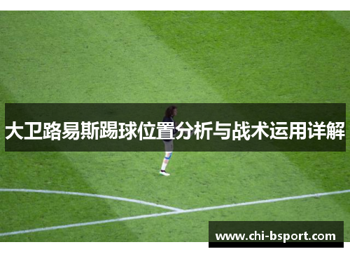 大卫路易斯踢球位置分析与战术运用详解 大卫路易斯踢球位置分析与战术运用详解