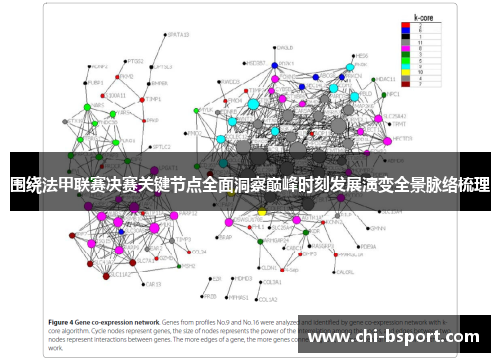 围绕法甲联赛决赛关键节点全面洞察巅峰时刻发展演变全景脉络梳理