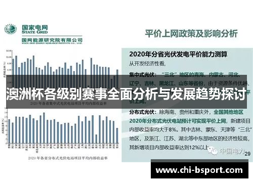 澳洲杯各级别赛事全面分析与发展趋势探讨