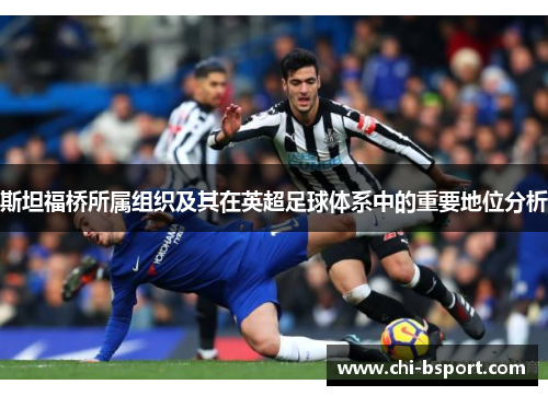 斯坦福桥所属组织及其在英超足球体系中的重要地位分析