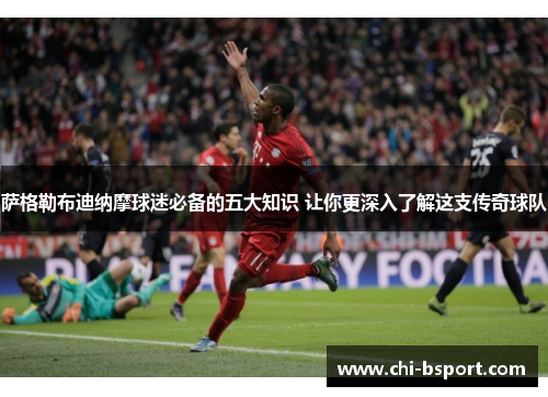 萨格勒布迪纳摩球迷必备的五大知识 让你更深入了解这支传奇球队