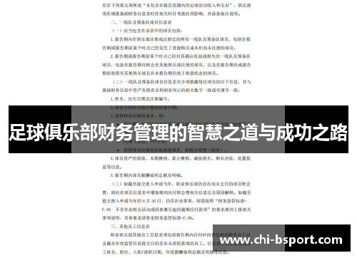 足球俱乐部财务管理的智慧之道与成功之路