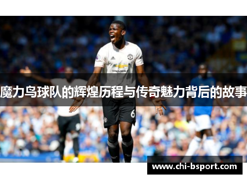 魔力鸟球队的辉煌历程与传奇魅力背后的故事
