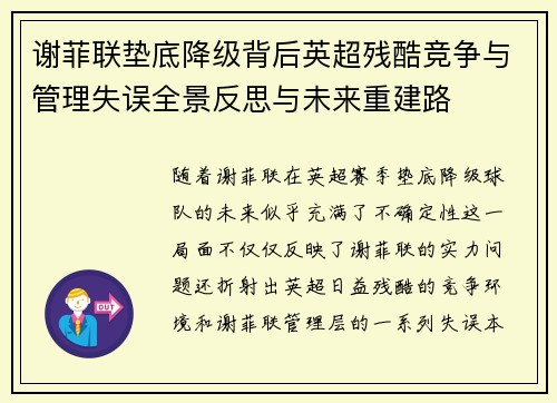 谢菲联垫底降级背后英超残酷竞争与管理失误全景反思与未来重建路
